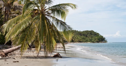 Cahuita National Park
