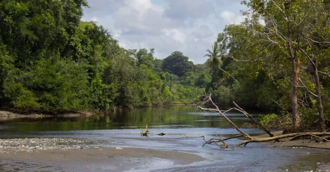 Corcovado National Park