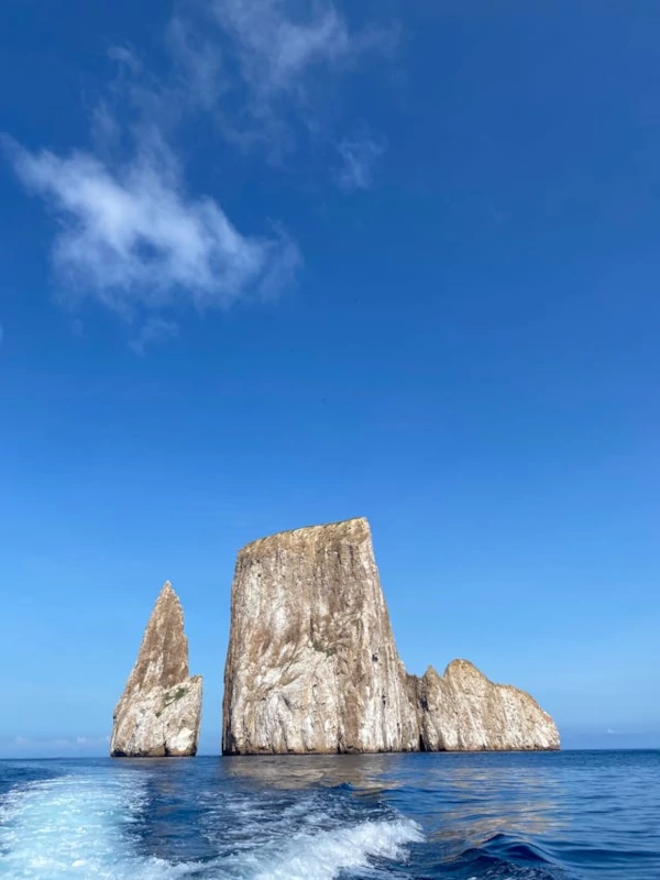 Activities Kicker Rock or León Dormido at the Galápagos Islands