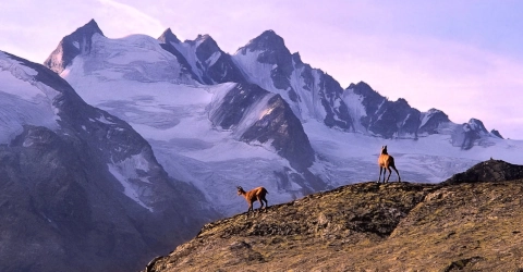 Parque Nacional Gran Paradiso