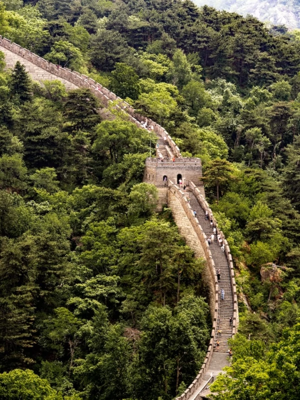 La Gran Muralla de China travesando un bosque