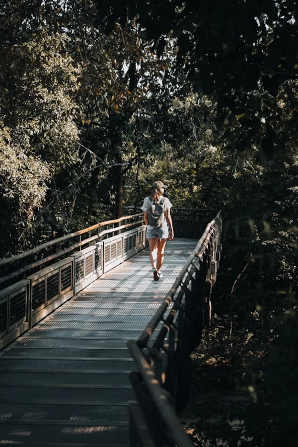 Hiking walkway at Iguazú National Park