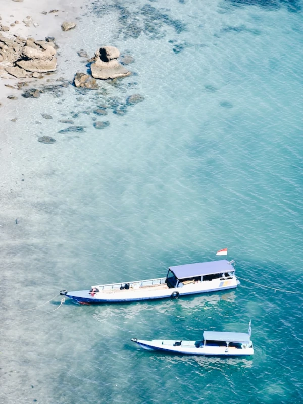 Vida marina Playa en el parque nacional de Komodo