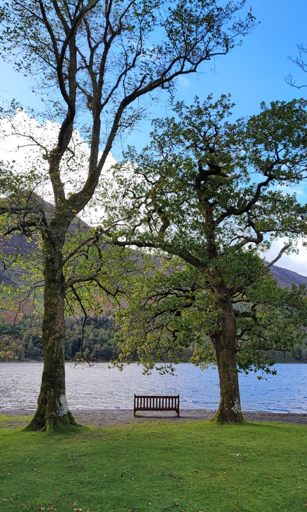 Banco en el lago Buttermere