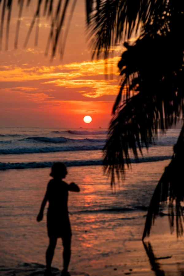Actividades en el Parque Nacional Marino Ballena La silueta de una persona contra una intensa puesta de sol en una playa, con hojas de palmera enmarcando la escena.