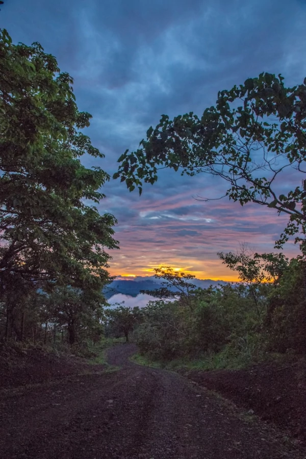 Actividades en el Parque Nacional Miravalles-Jorge Manuel Dengo Árboles verdes bajo un cielo nublado durante una puesta de sol