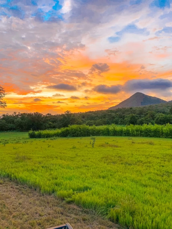 ¿Por qué visitar el Parque Nacional Miravalles-Jorge Manuel Dengo? Campo de hierba verde cerca de una montaña durante una puesta de sol