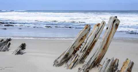 Parque Nacional Skeleton Coast