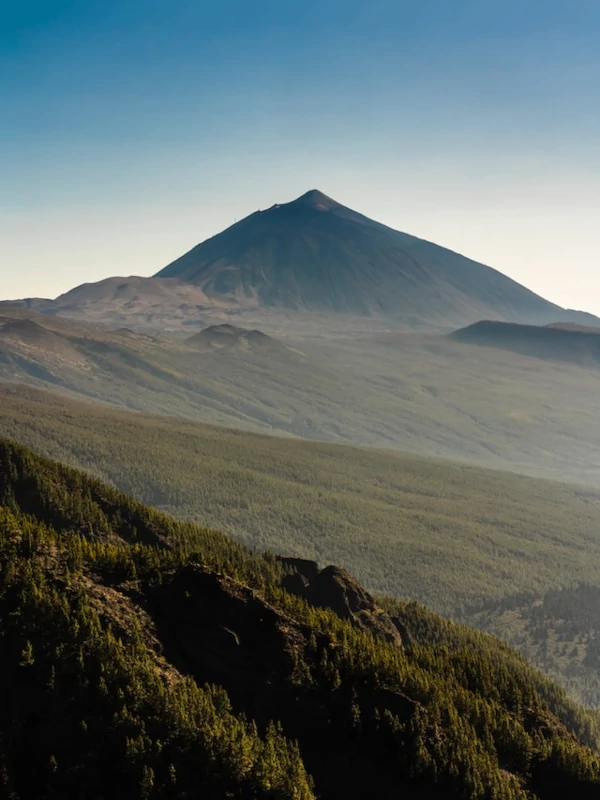Mount Teide and it's pine forests