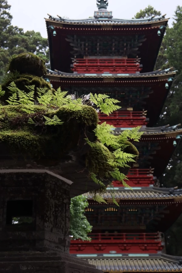 A tall temple in the forest of Nikko