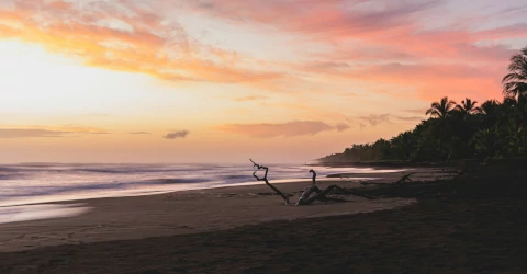 Tortuguero National Park