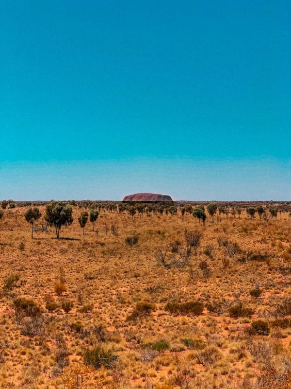 Uluru rock at Uluru-Kata Tjuta National Park
