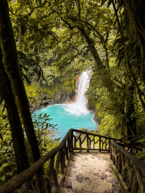 Why Visit Tenorio Volcano National Park? A path that leads down to a blue waterfall