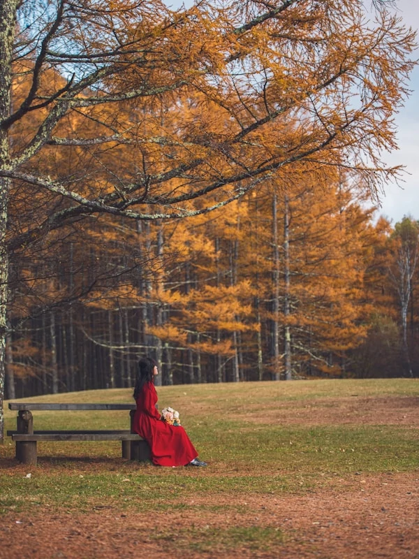 A women in a red dress sitting in a bench