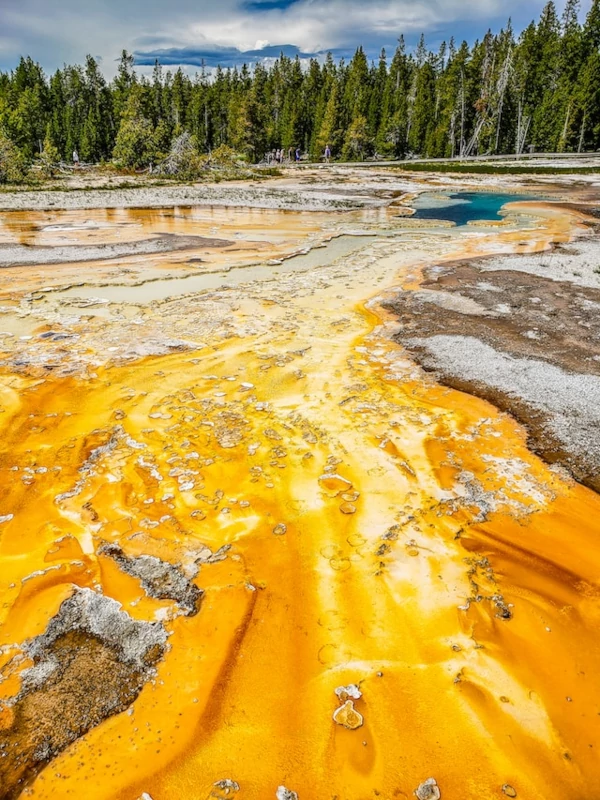 Colourful hot spring at Yellowstone National Park
